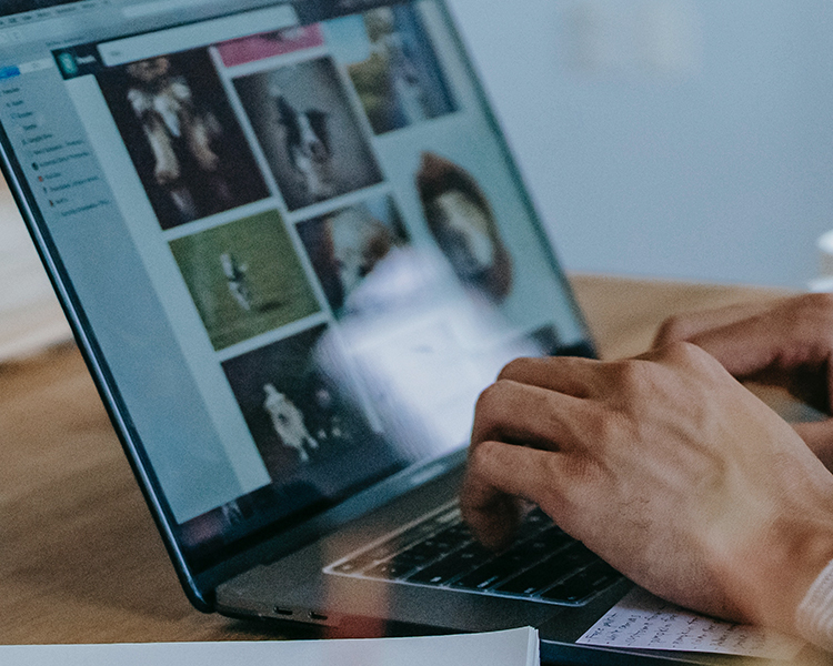 抖圈-为du而生官网入口